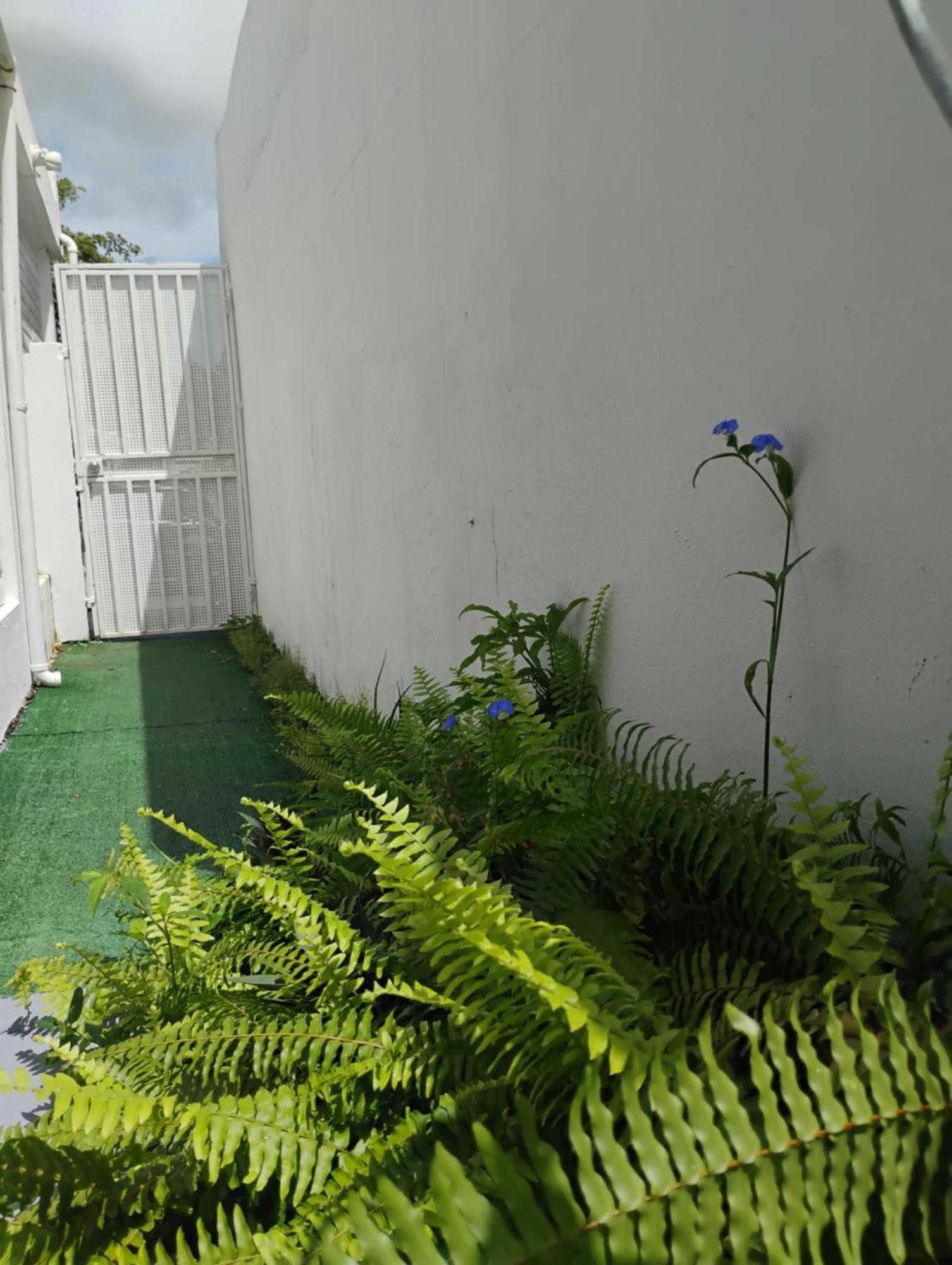 Apartment Black & White Comfort San Juan